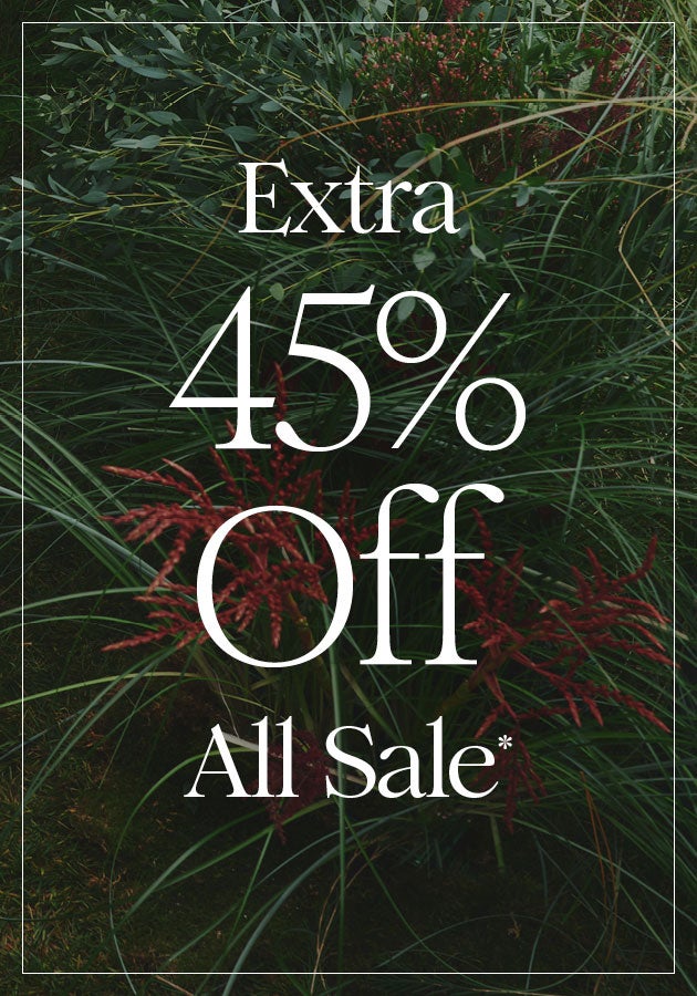 Extra 45% Off All Sale*